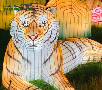 Model Tanglung Haiwan Saiz Hidup