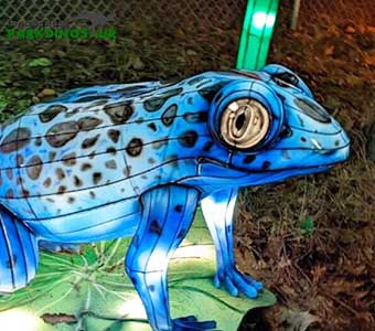 Katak Tanglung Hiasan Pesta